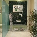 Doctor's office green wall design with orchids - https://www.andyquinones.net Httpswww Andyquinones Net reception area with a metallic rejuv chip sign on a green leafy wall adjacent glass panel and a glass console table with magazines and white orchid arrangement in front